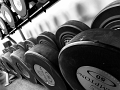 PBI_Day1-FreeWeights (10)